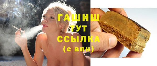 мдпв Бородино