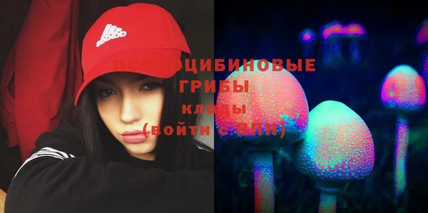 ECSTASY Богданович