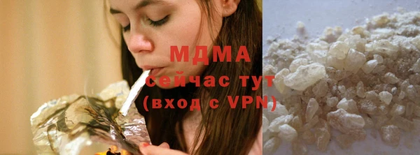 мдпв Бородино