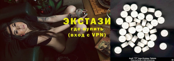 ECSTASY Богданович