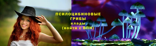 Альфа ПВП Бугульма
