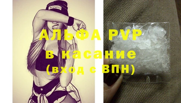 ECSTASY Богданович