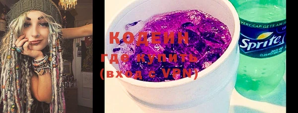 мдпв Бородино