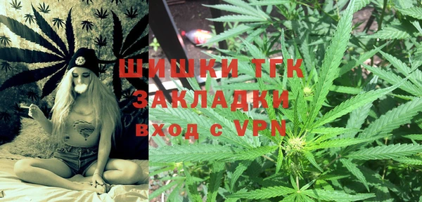 мдпв Бородино