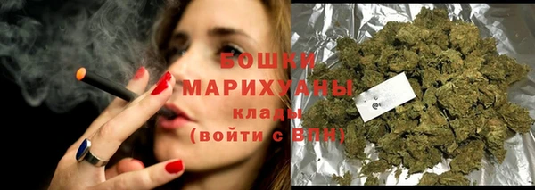 ECSTASY Богданович