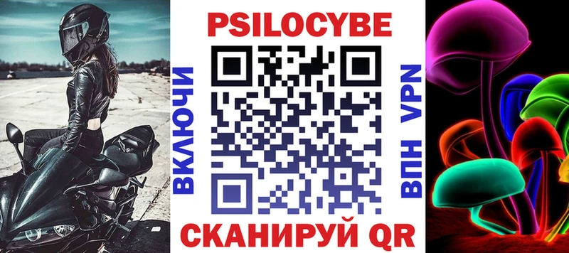 где найти наркотики Вязники Галлюциногенные грибы Magic Shrooms